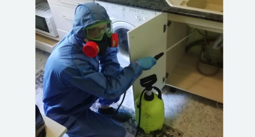 Уничтожение муравьев в квартире. Болгар