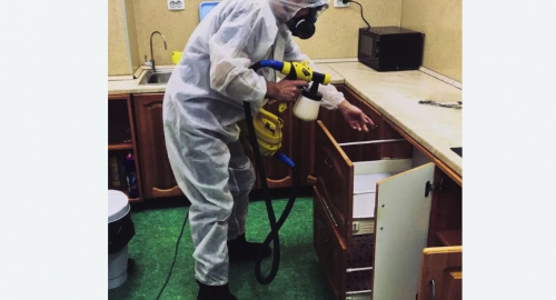 Дезинсекция квартиры. Болгар