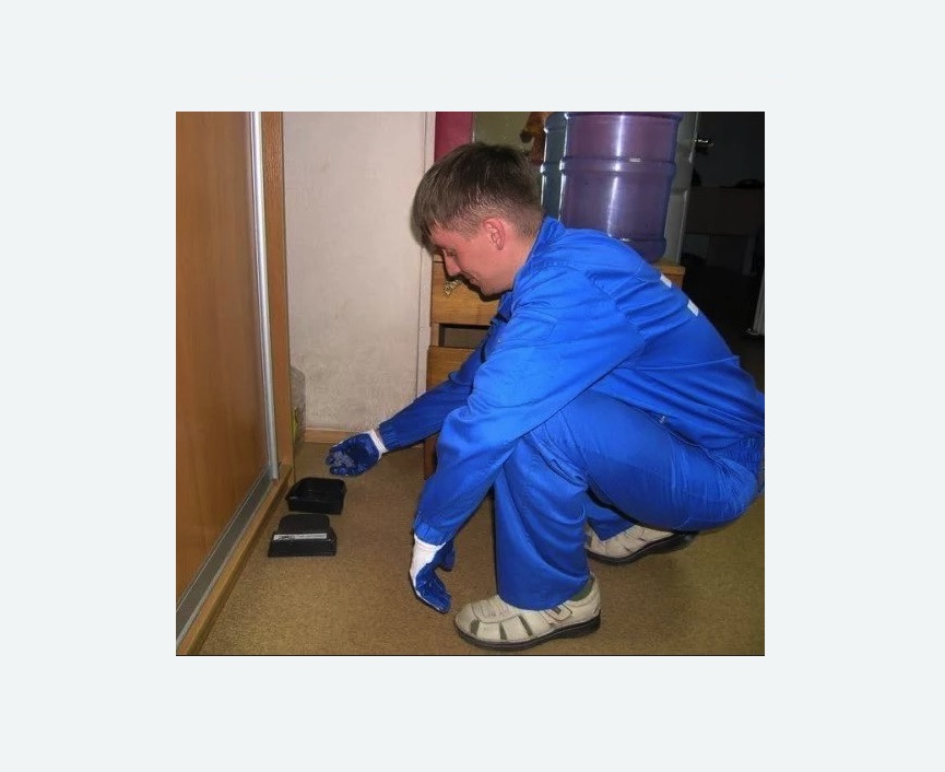 Дератизация крыс в Болгаре