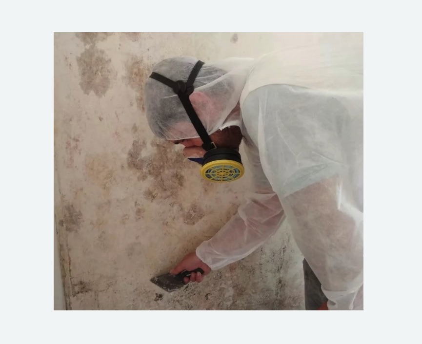 Обработка стен от плесени в Болгаре