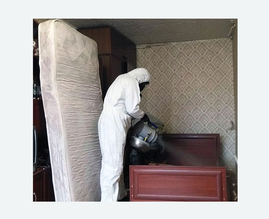 дезинфекция от клопов в Болгаре