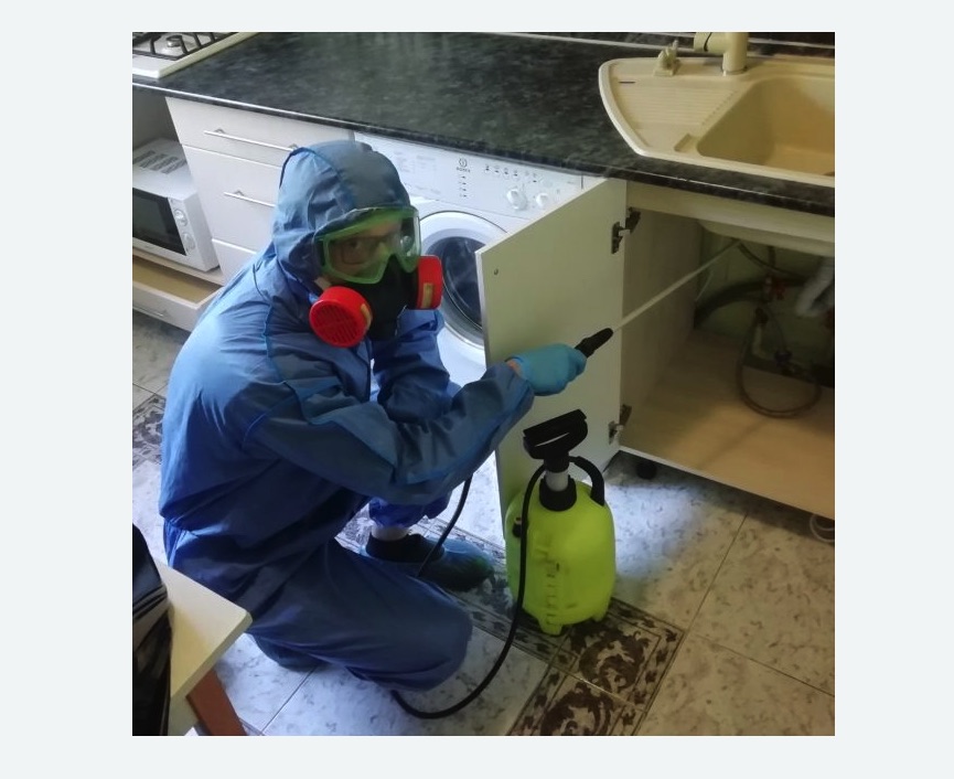 обработка от муравьев в квартире в Болгаре