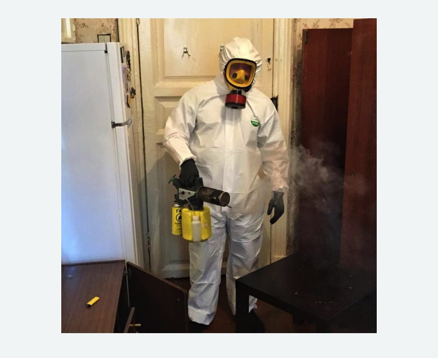 уничтожение муравьев в квартире в Болгаре